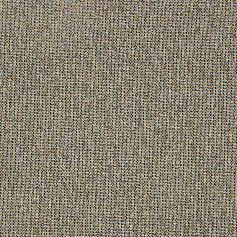 OLIVIER-PINGL-MIST-SCHUMACHER-51432