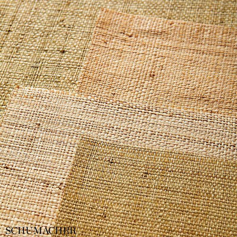 FIDENZA-GROUND-SAGE-SCHUMACHER-528943