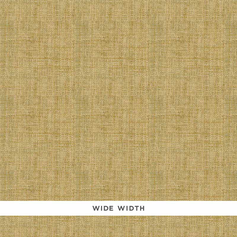 FIDENZA-GROUND-SAGE-SCHUMACHER-528943