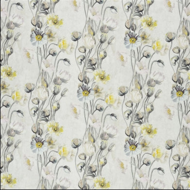 pavot-designers-guild-fdg2476-03