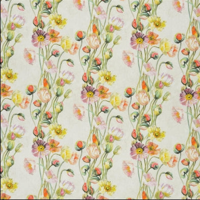 pavot-designers-guild-fdg2476-01