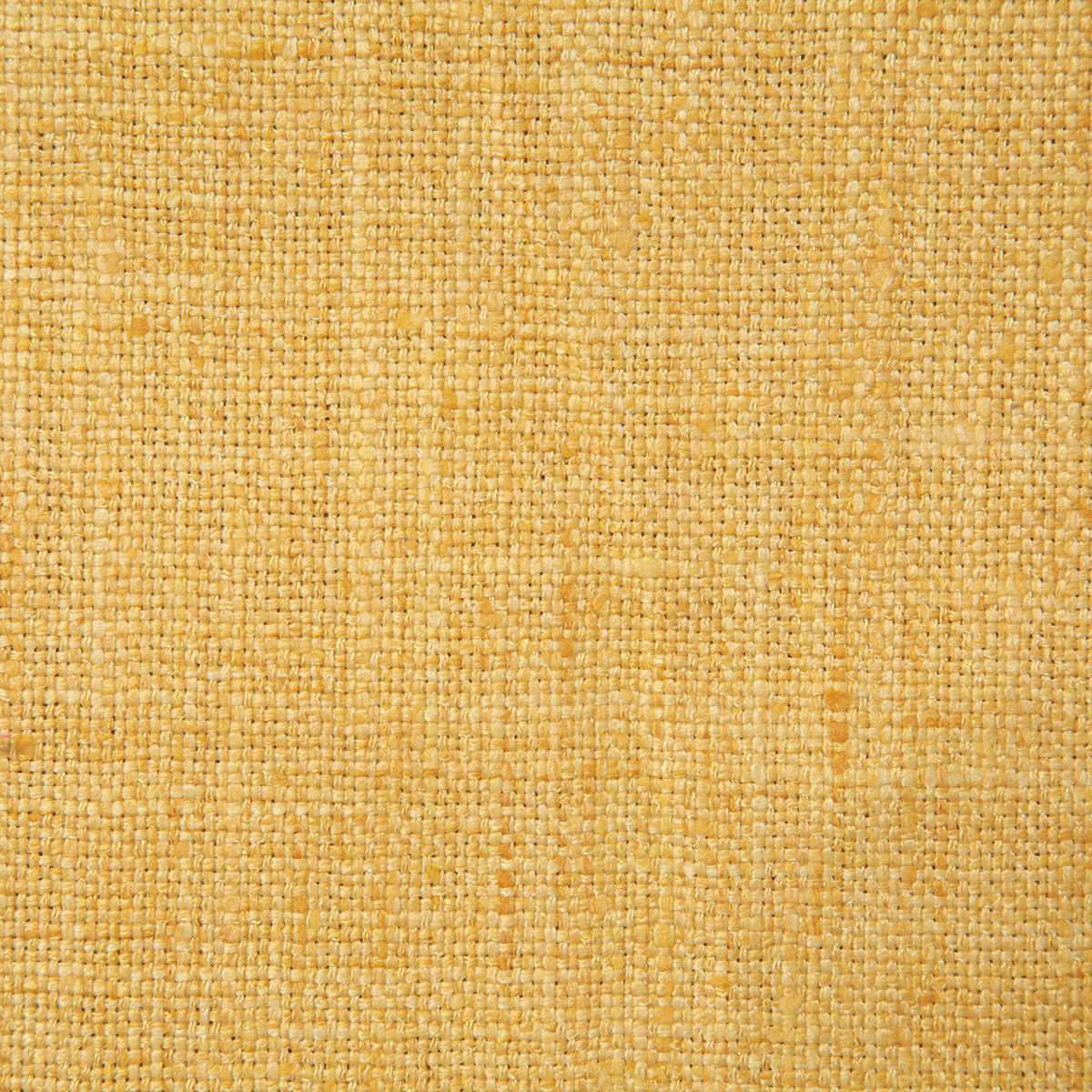 5313-drina-banana-pindler