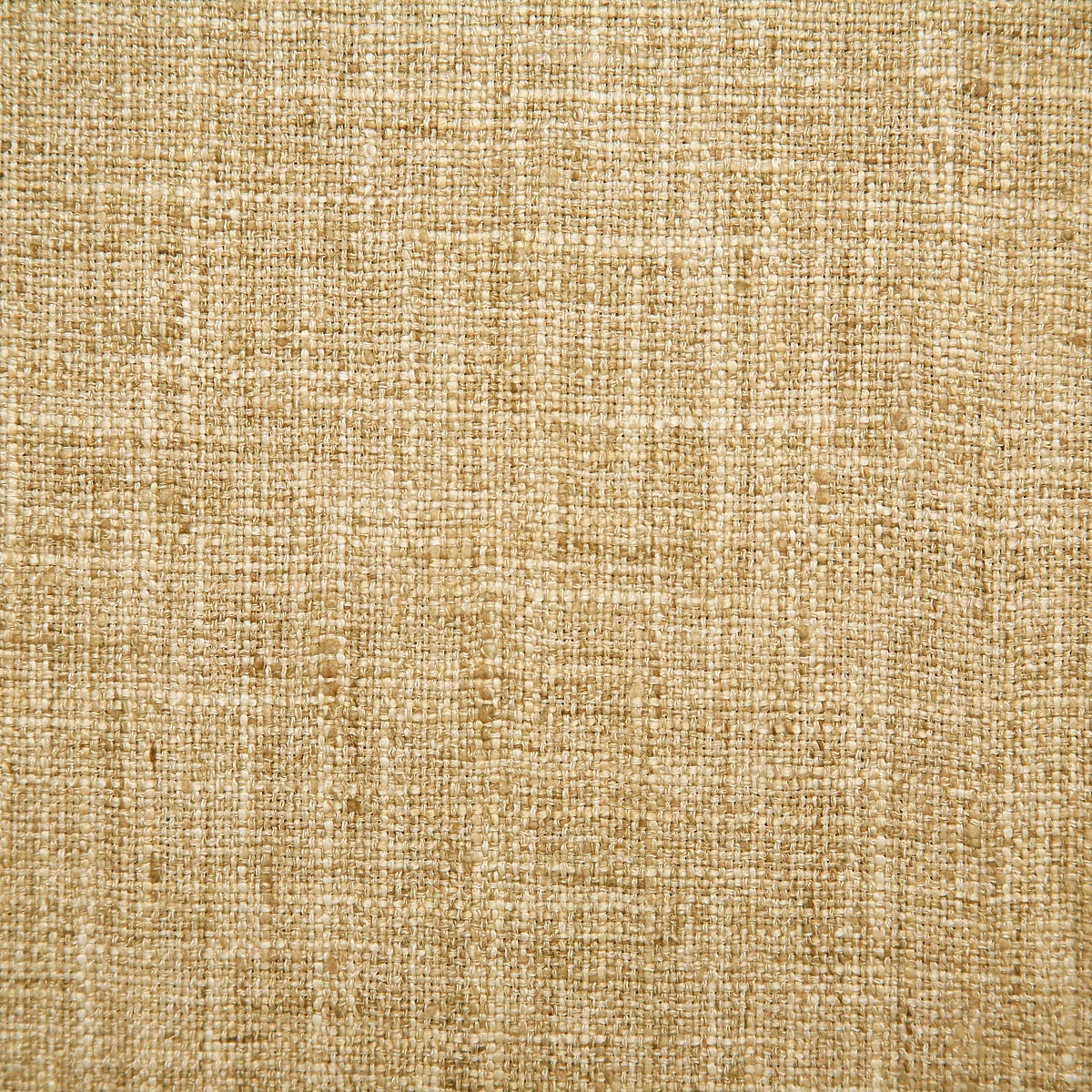 5313-drina-harvest-pindler