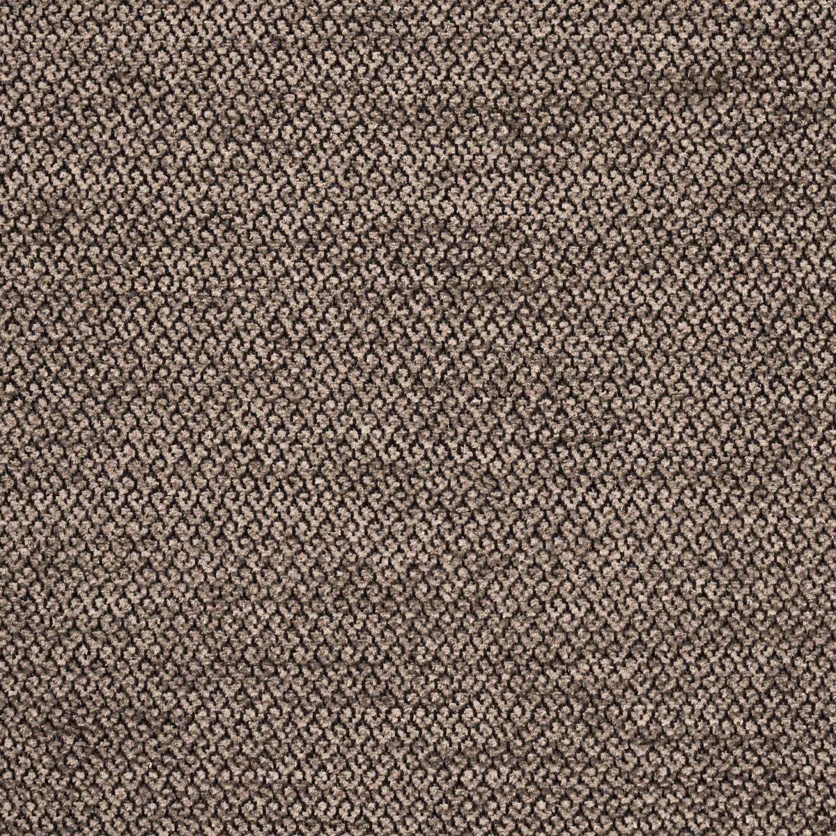 LUANA-MATE-SCHUMACHER-54384