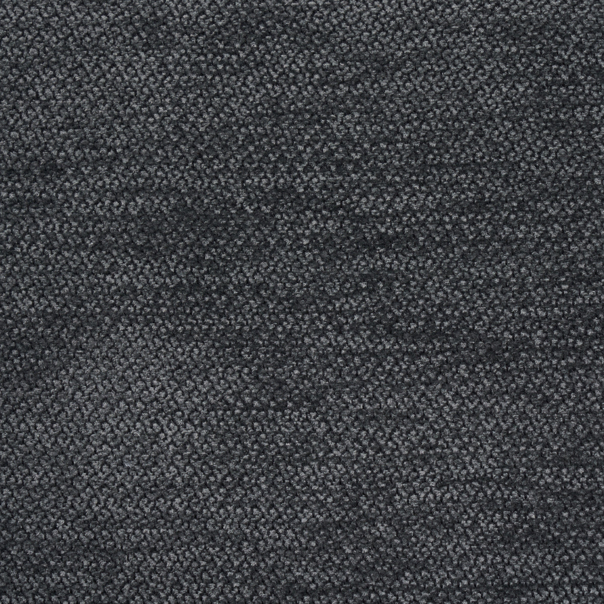 LUANA-TITANIUM-SCHUMACHER-54387