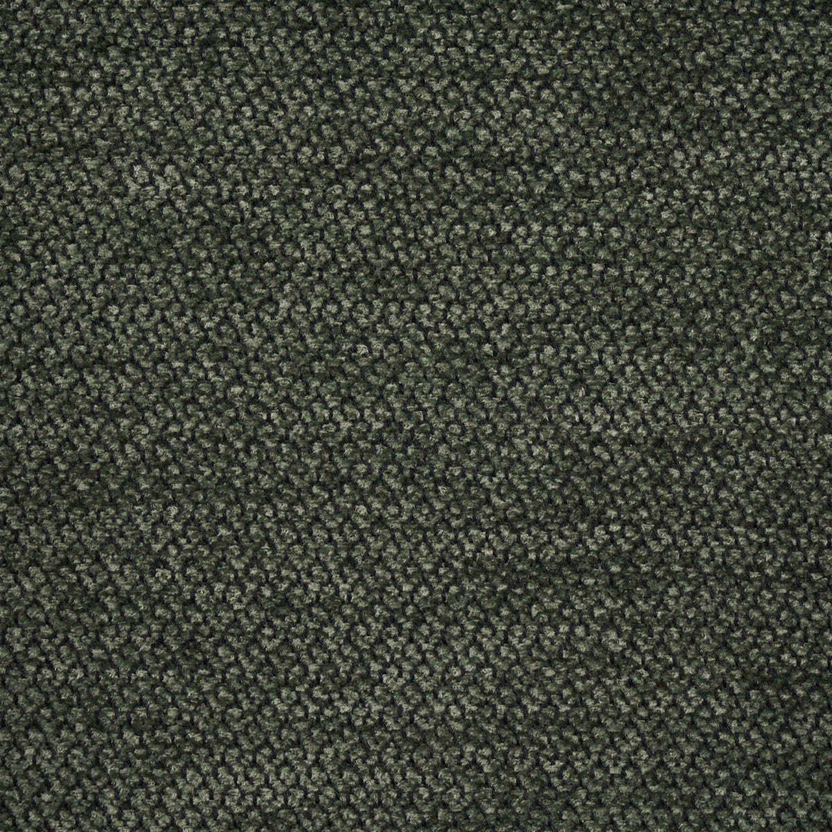 LUANA-ALPINE-SCHUMACHER-54388