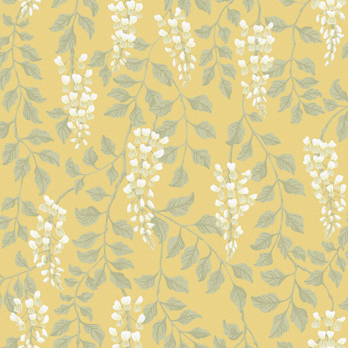 BLREGN-YELLOW-SCHUMACHER-5709