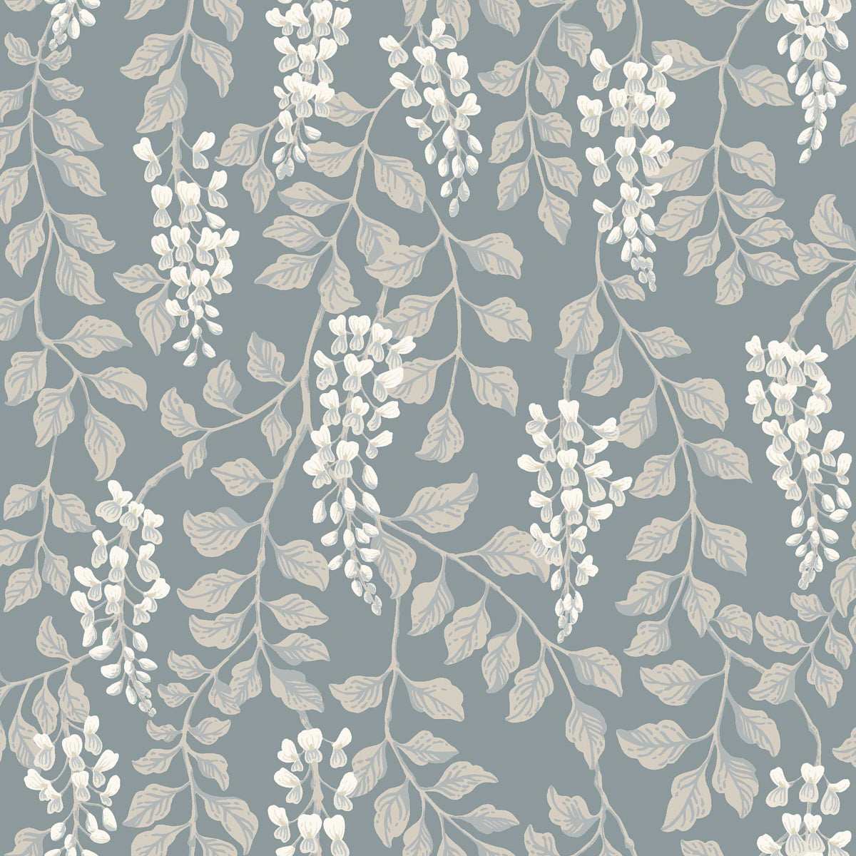 BLREGN-SLATE-SCHUMACHER-5711