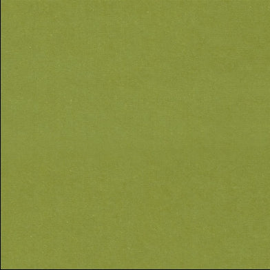 cassia-designers-guild-f2034-43