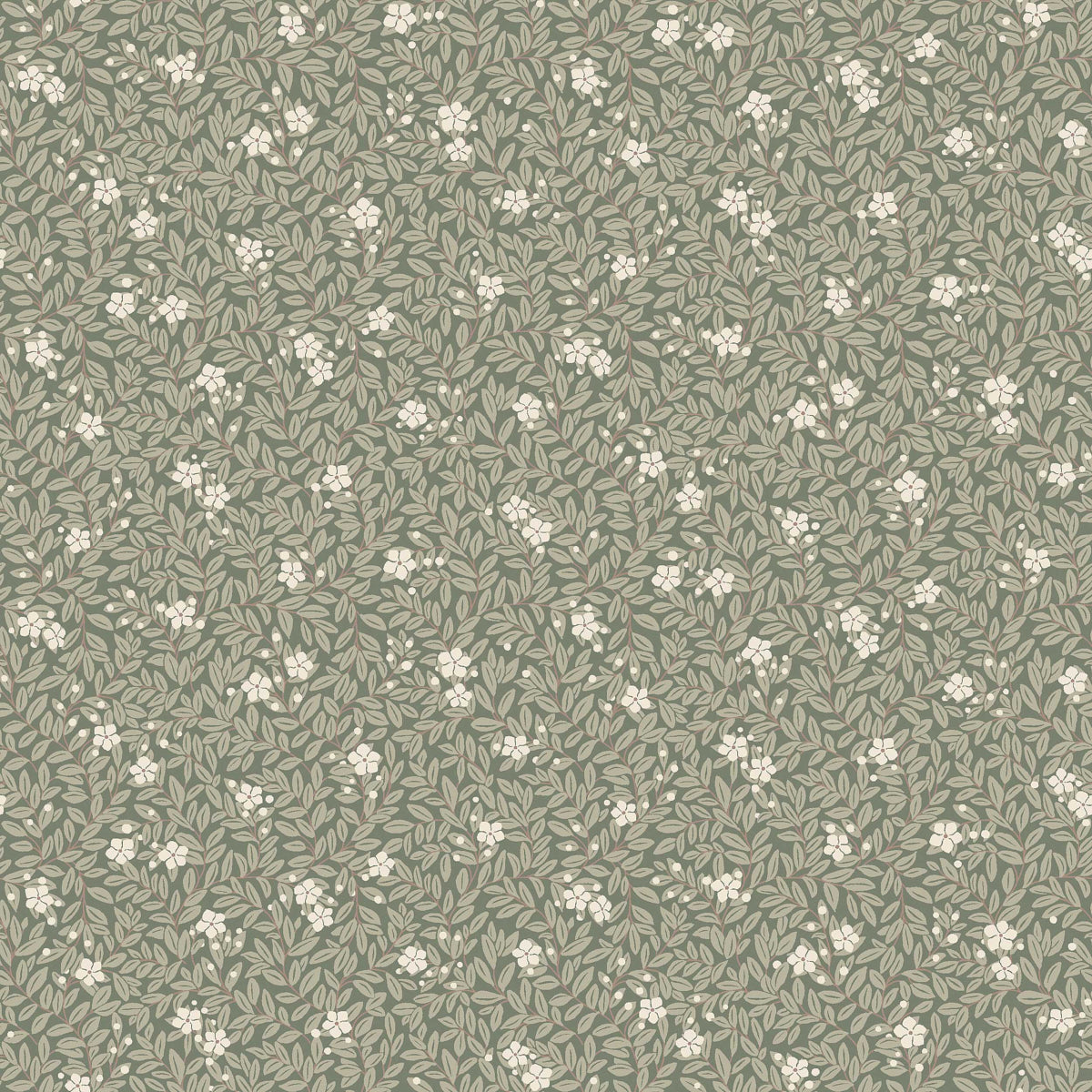 MYRTEN-SAGE-SCHUMACHER-5716