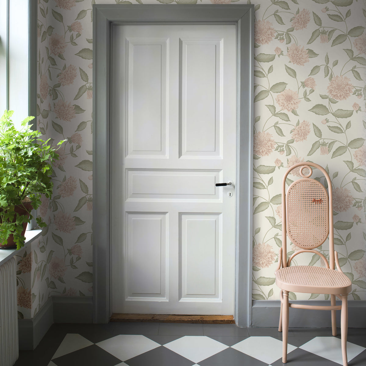DAHLIADRM-BLUSH-SCHUMACHER-5718