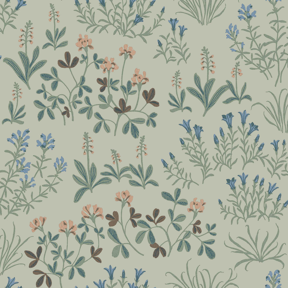 NORAS-NG-MINERAL-SCHUMACHER-5801