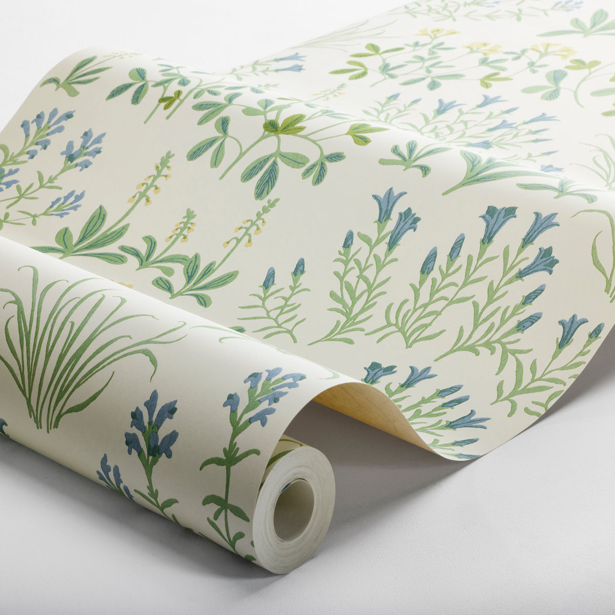 NORAS-NG-LEAF-SCHUMACHER-5803