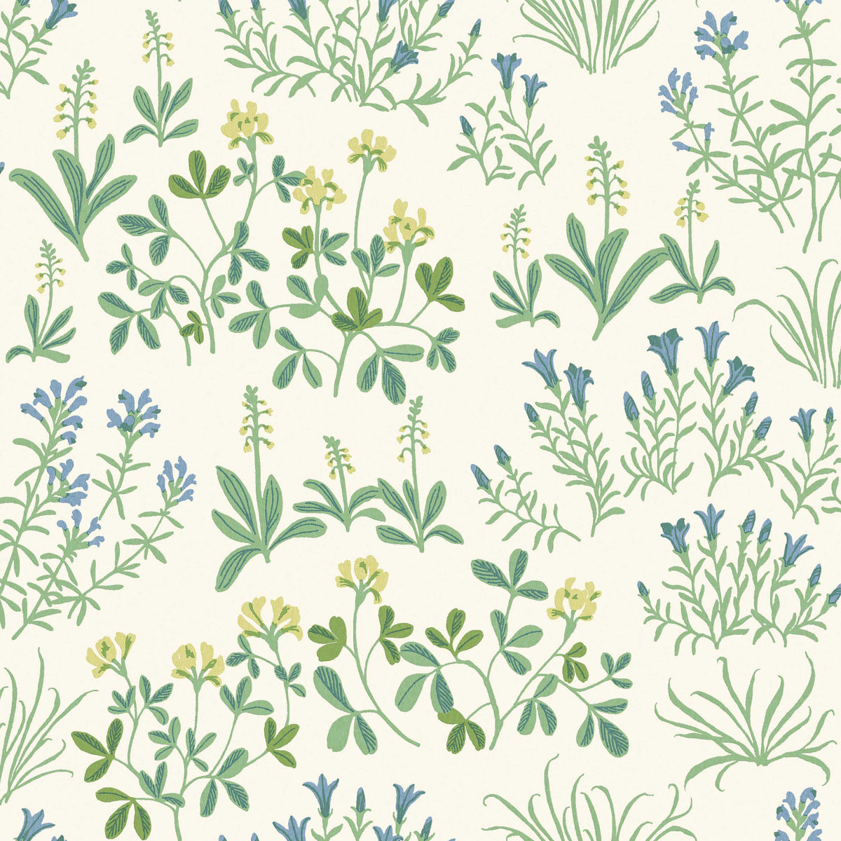 NORAS-NG-LEAF-SCHUMACHER-5803