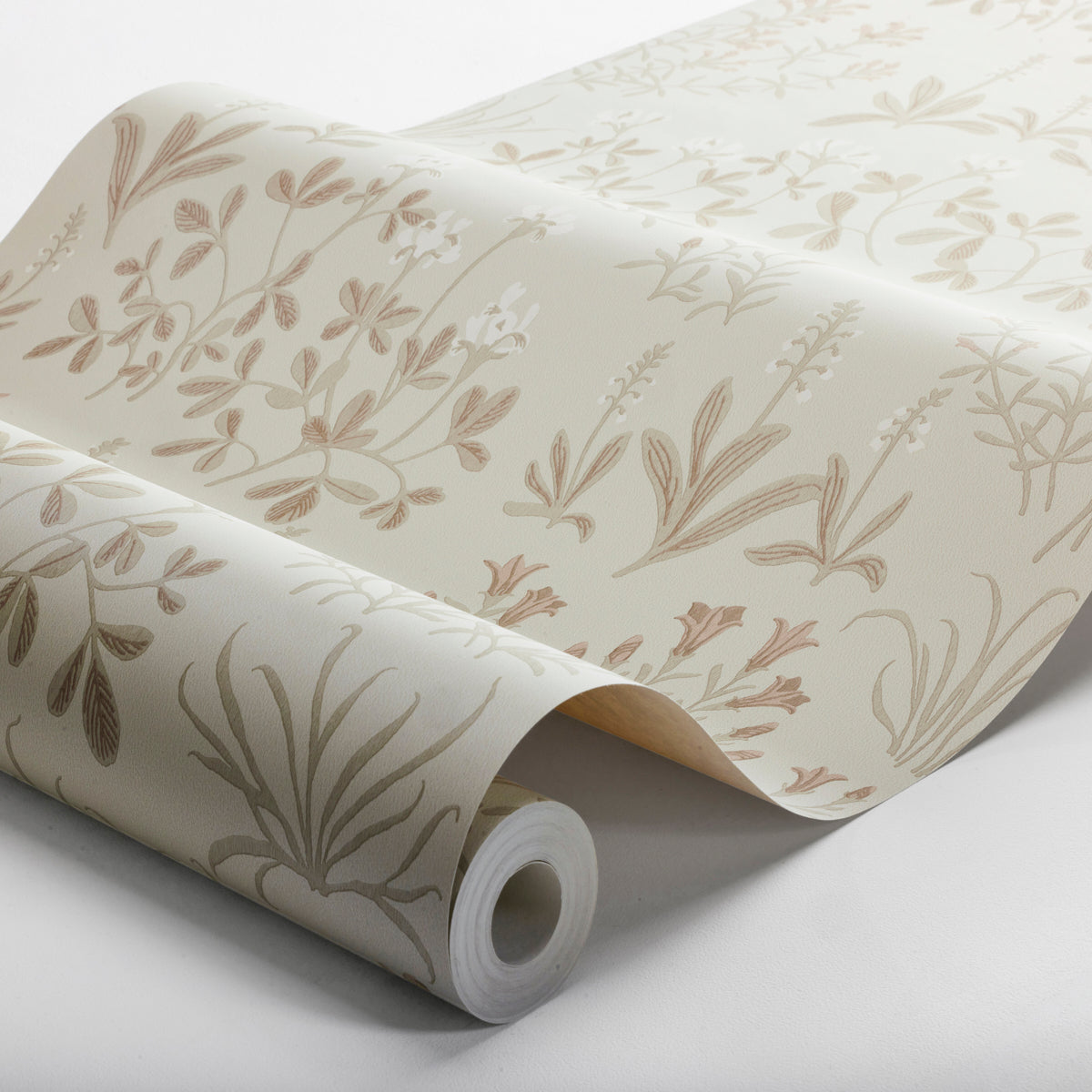 NORAS-NG-STONE-SCHUMACHER-5805