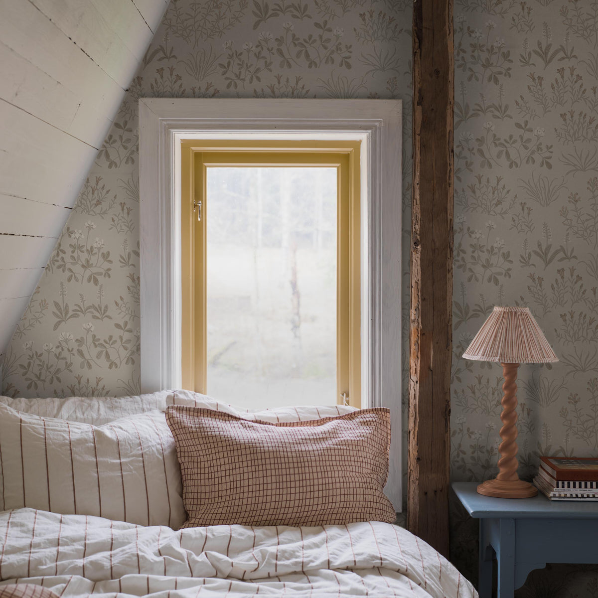 NORAS-NG-STONE-SCHUMACHER-5805