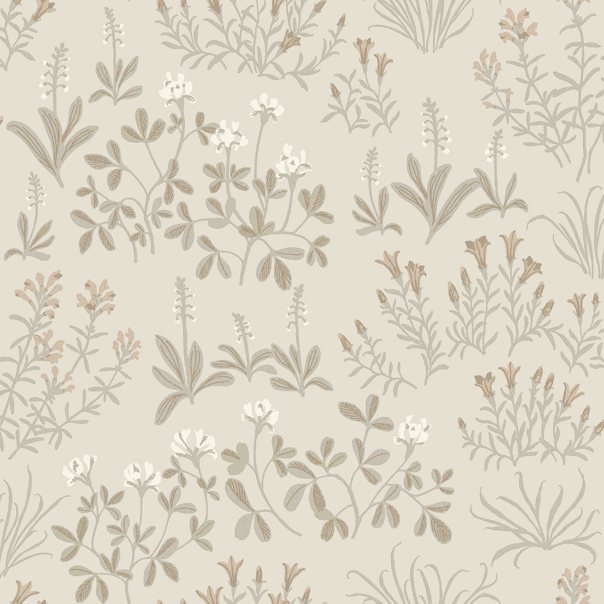 NORAS-NG-STONE-SCHUMACHER-5805
