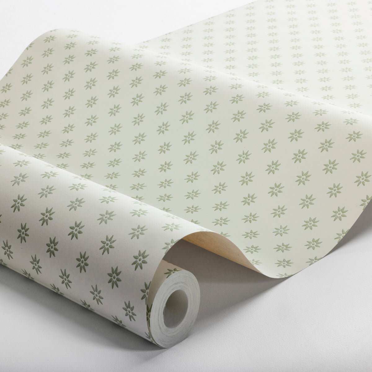 SKOGSSTJRNA-GREEN-SCHUMACHER-5809