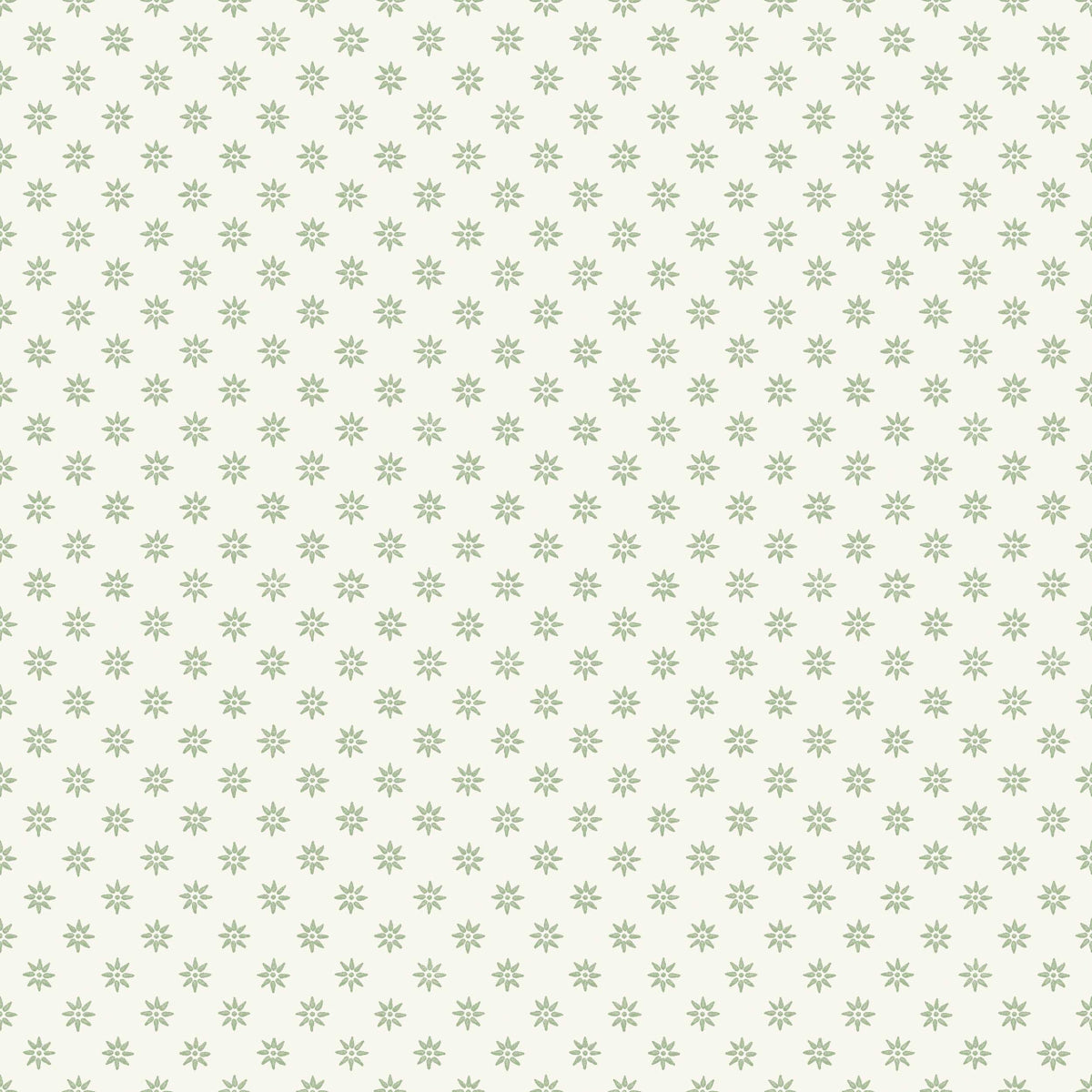 SKOGSSTJRNA-GREEN-SCHUMACHER-5809