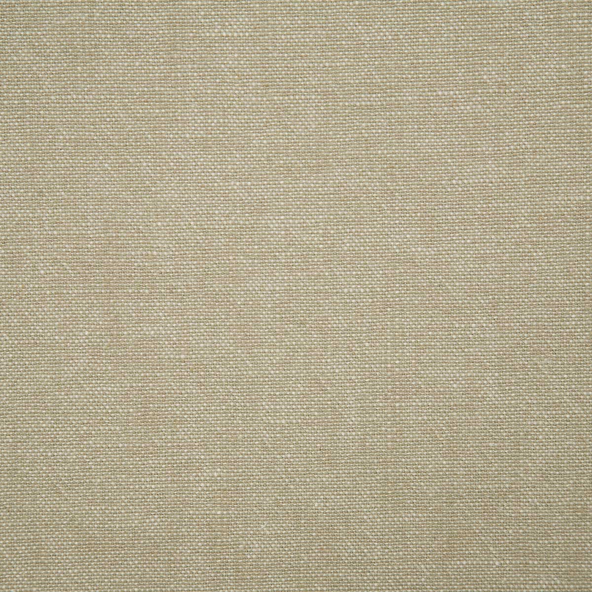 6206-glenbrook-birch-pindler - Pindler Fabric