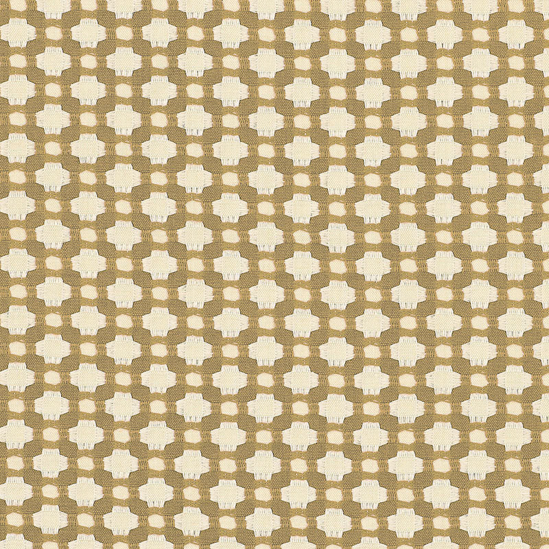 BETWIXT-BISCUIT-IVORY-SCHUMACHER-62616