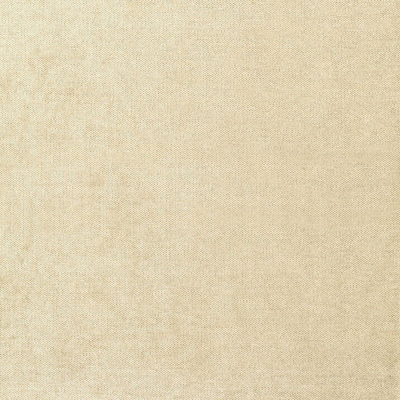 GLIMMER-CHAMPAGNE-SCHUMACHER-62637
