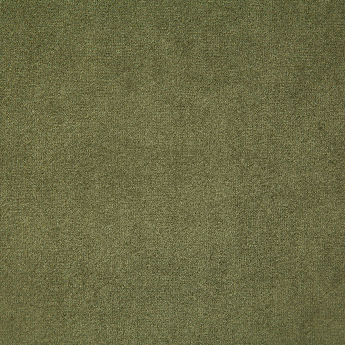 6334-voltaire-fern-pindler - Pindler Fabric