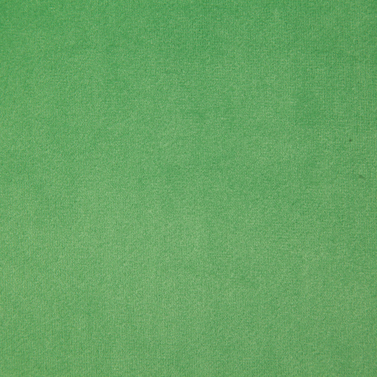 6334-voltaire-midori-pindler