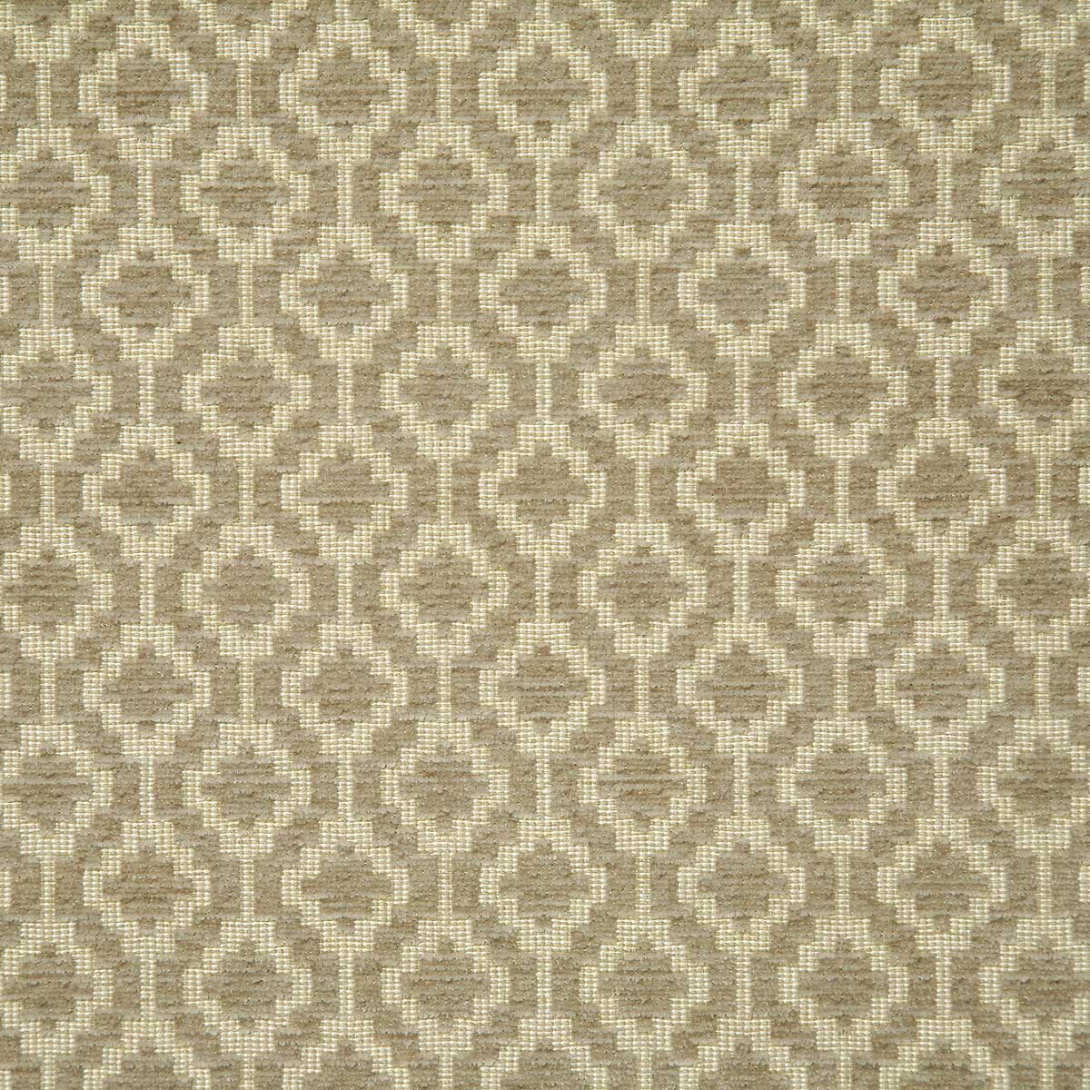 6447-clovis-mushroom-pindler
