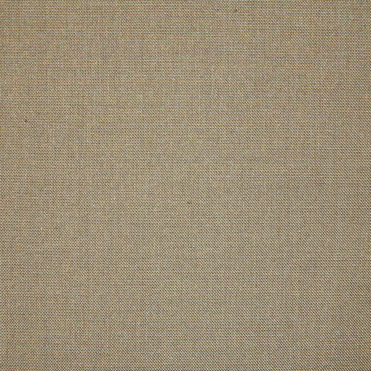6484-balboa-praline-pindler
