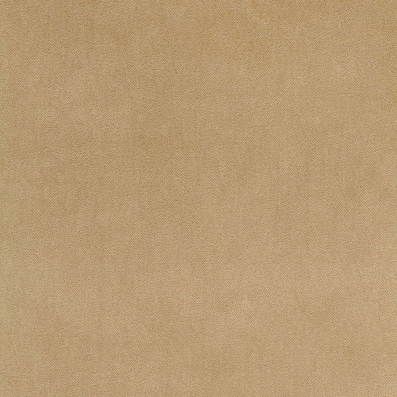 BAYEUX-VELVET-PUTTY-SCHUMACHER-65311