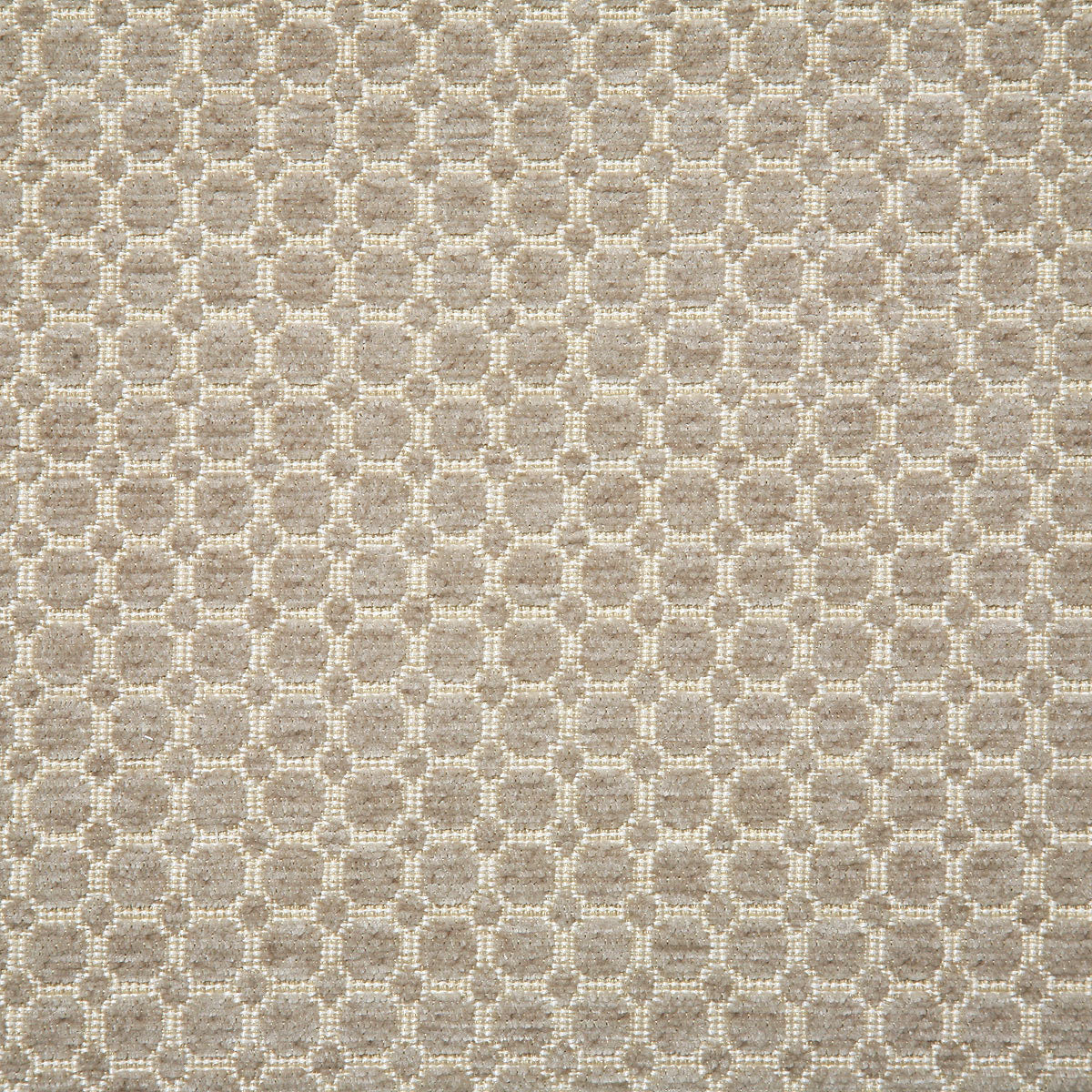 6642-roland-mushroom-pindler