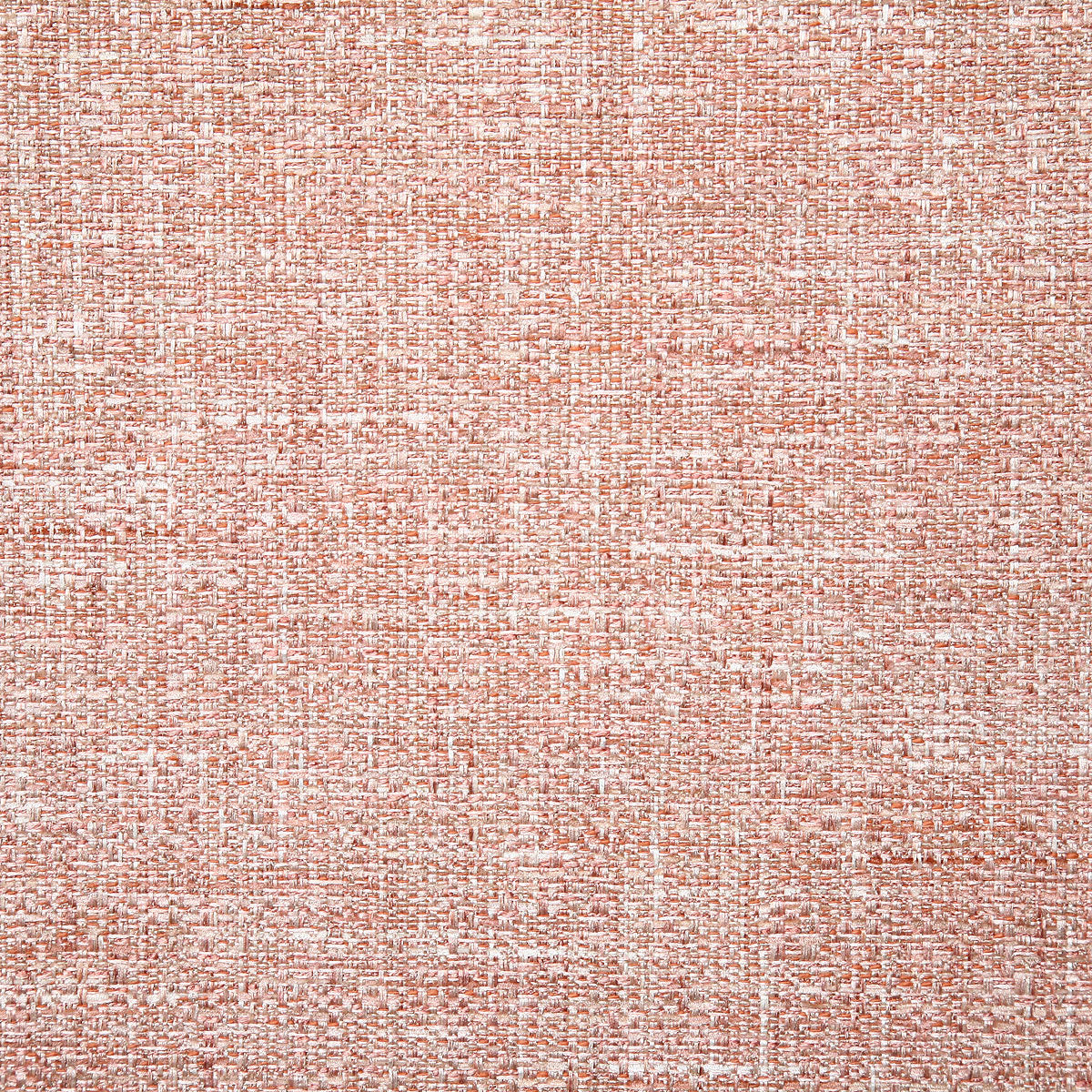 6703-jeremy-cameo-pindler