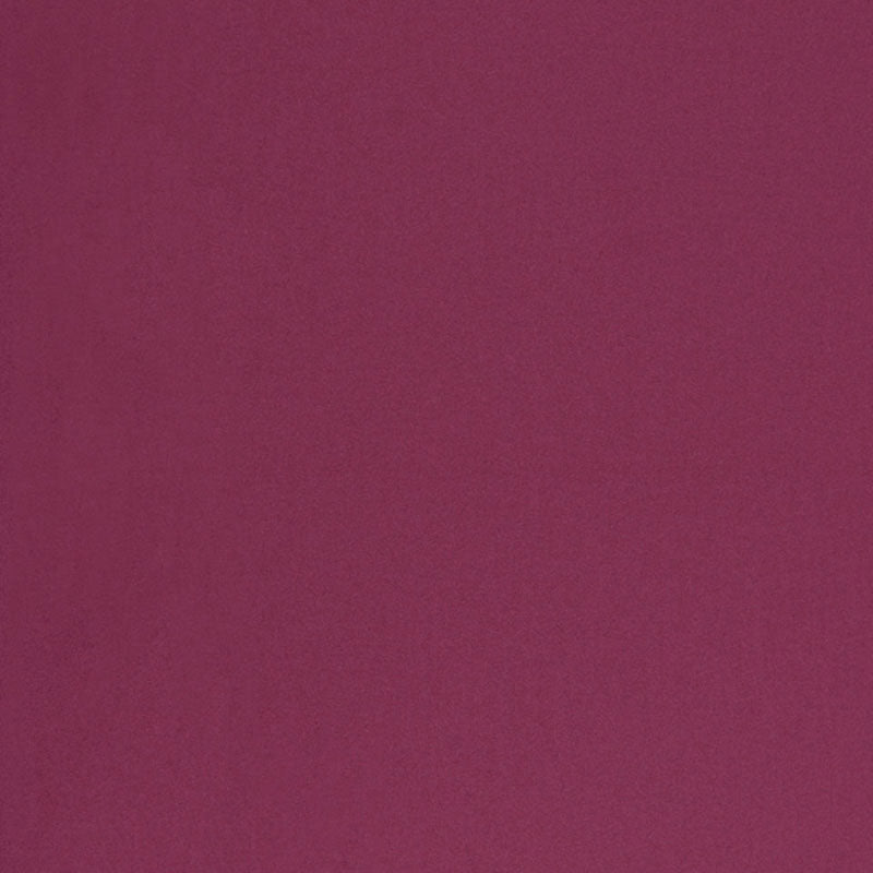 CHESTER-WOOL-GRAPE-SCHUMACHER-68558