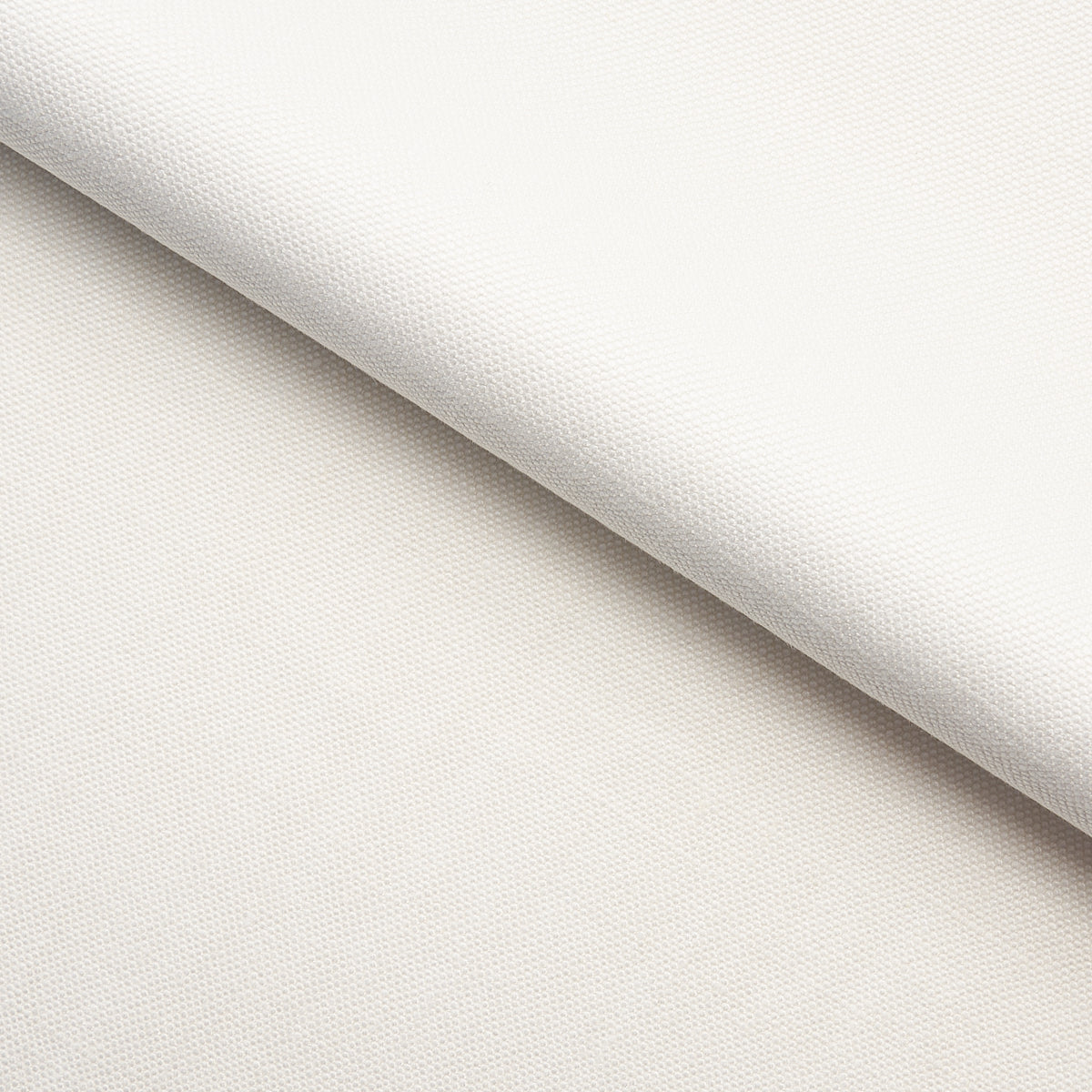 BARNETT-CHALK-SCHUMACHER-69370