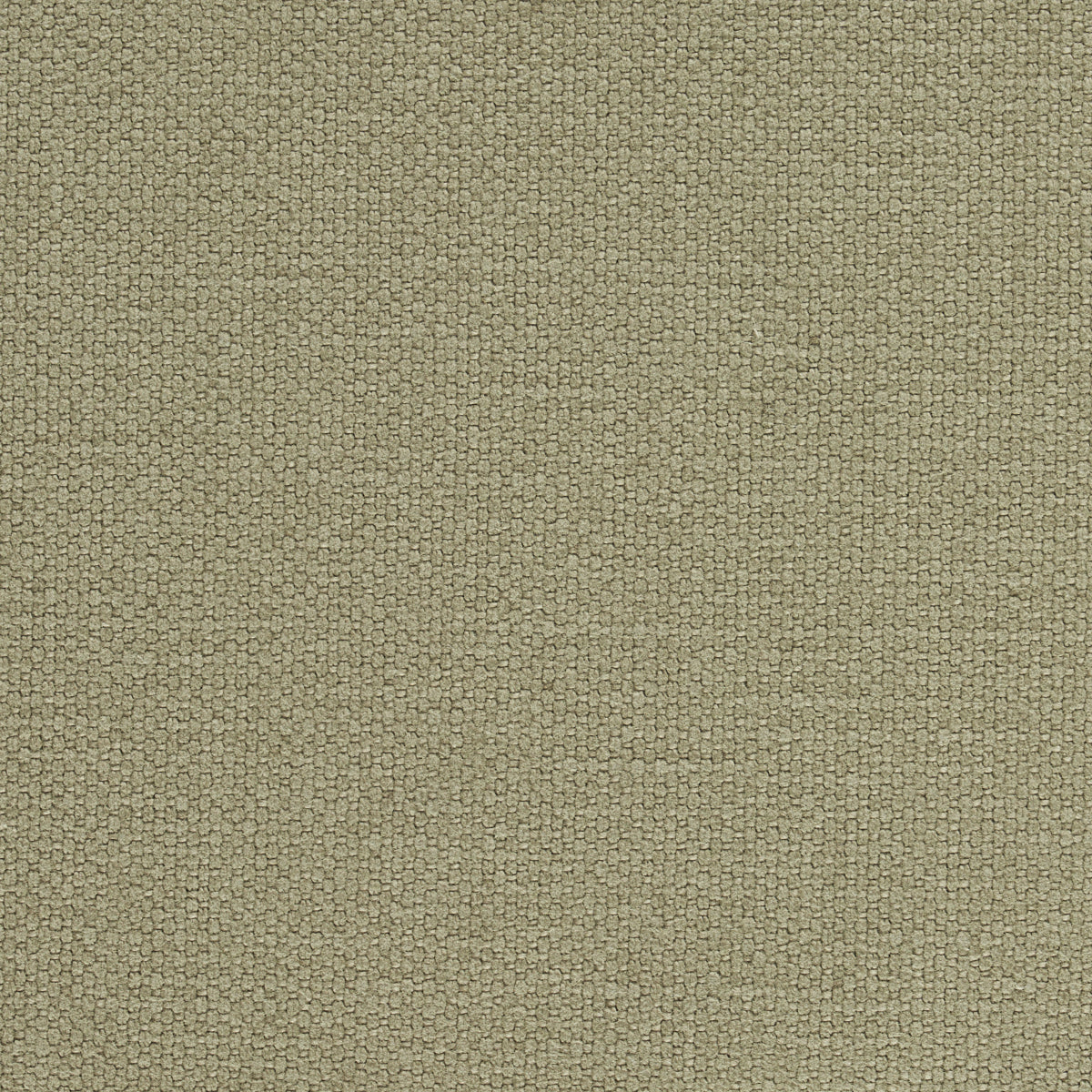 LANGHAM-HIGH-PERFORMANCE-UNION-THYME-SCHUMACHER-69619