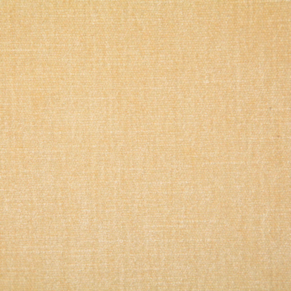 7050-kennedy-oatmeal-pindler