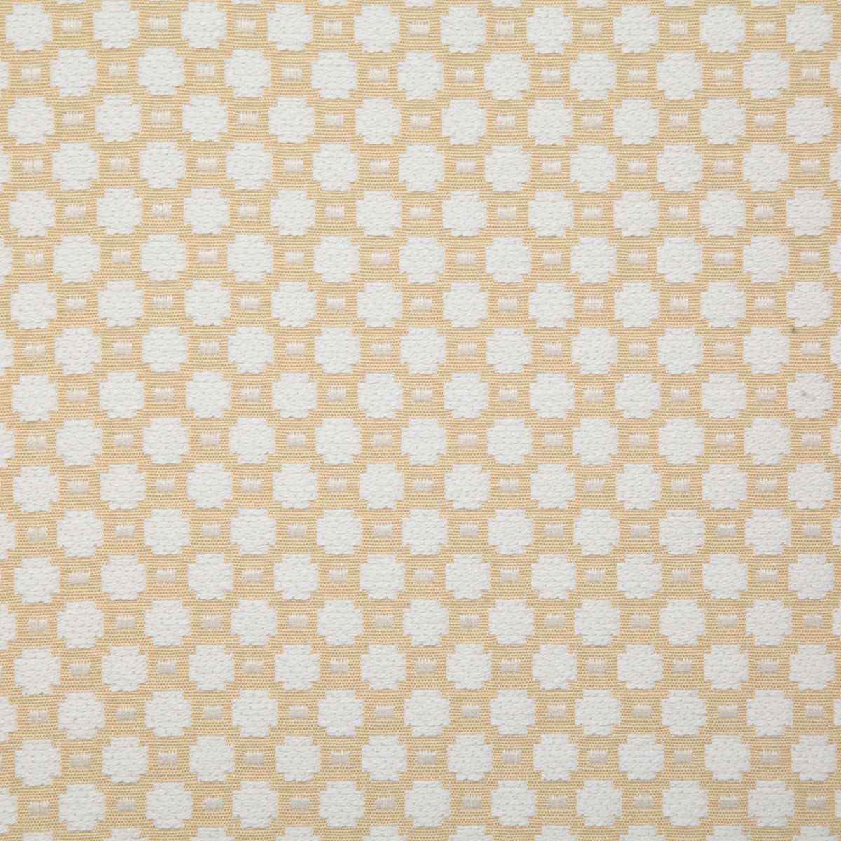 7056-walcott-straw-pindler