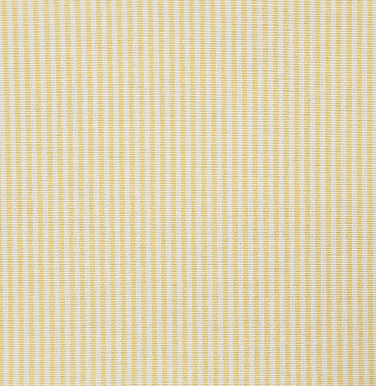 7107-savannah-daffodil-pindler - Pindler Tela