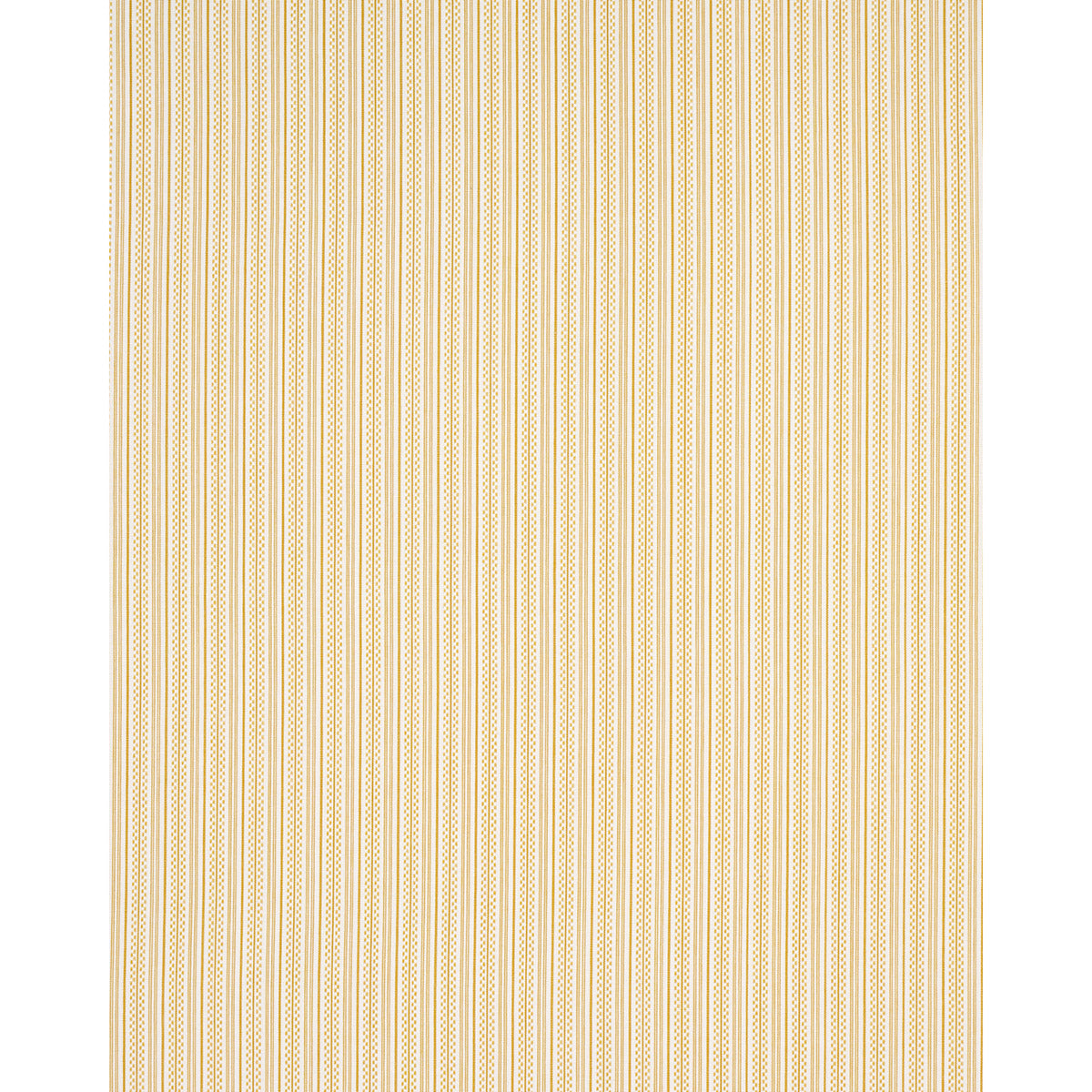 JACK-STRIPE-YELLOW-SCHUMACHER-71417