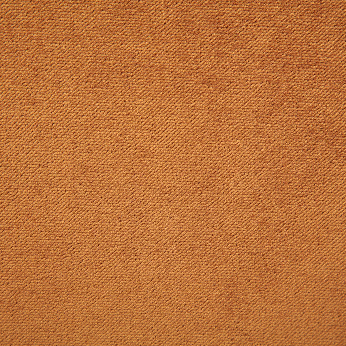7175-athena-amber-pindler