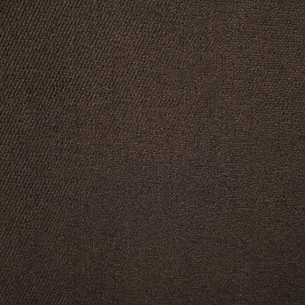 7175-athena-cocoa-pindler