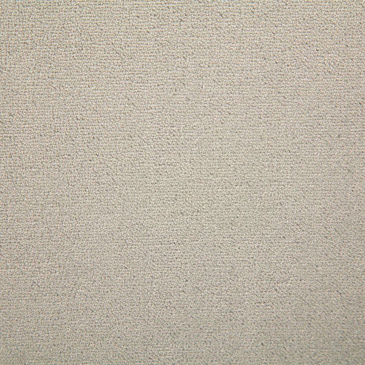 7175-athena-dove-pindler