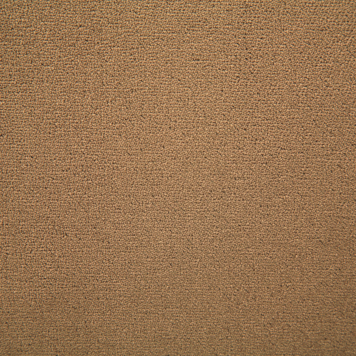 7175-athena-fawn-pindler