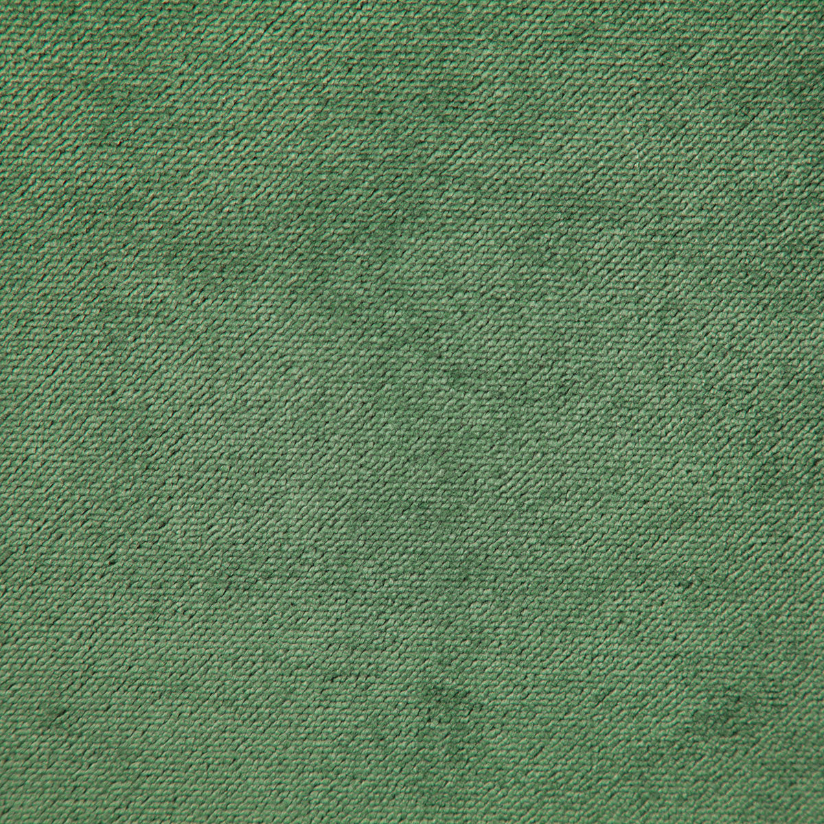 7175-athena-forest-pindler