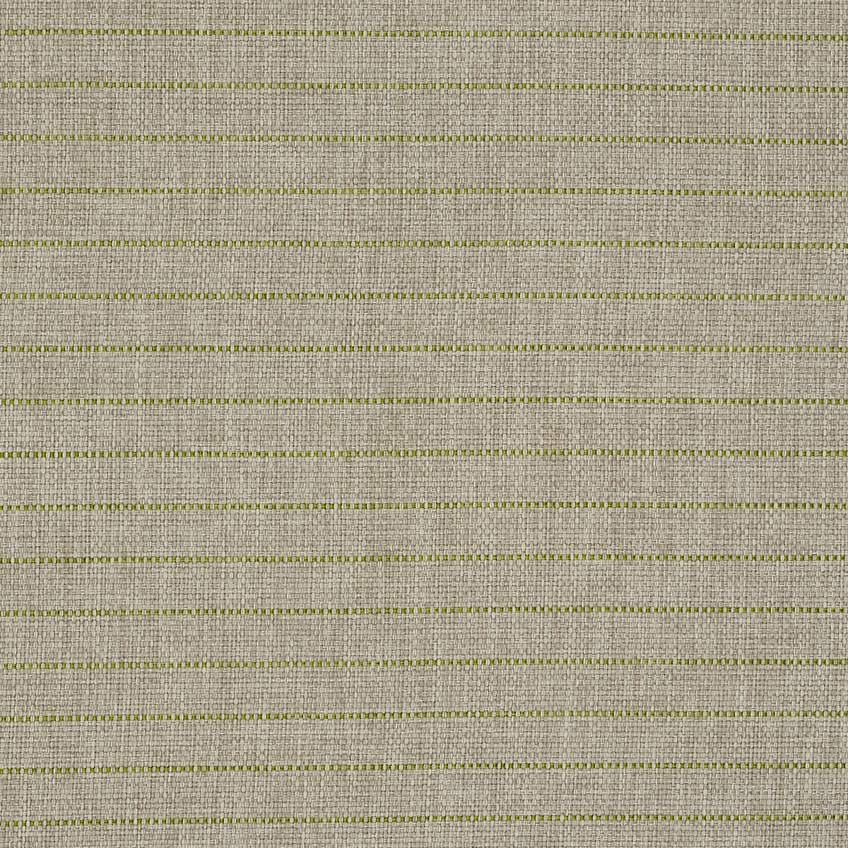 MANNING-STRIPE-INDOOR-OUTDOOR-LIME-SCHUMACHER-71813