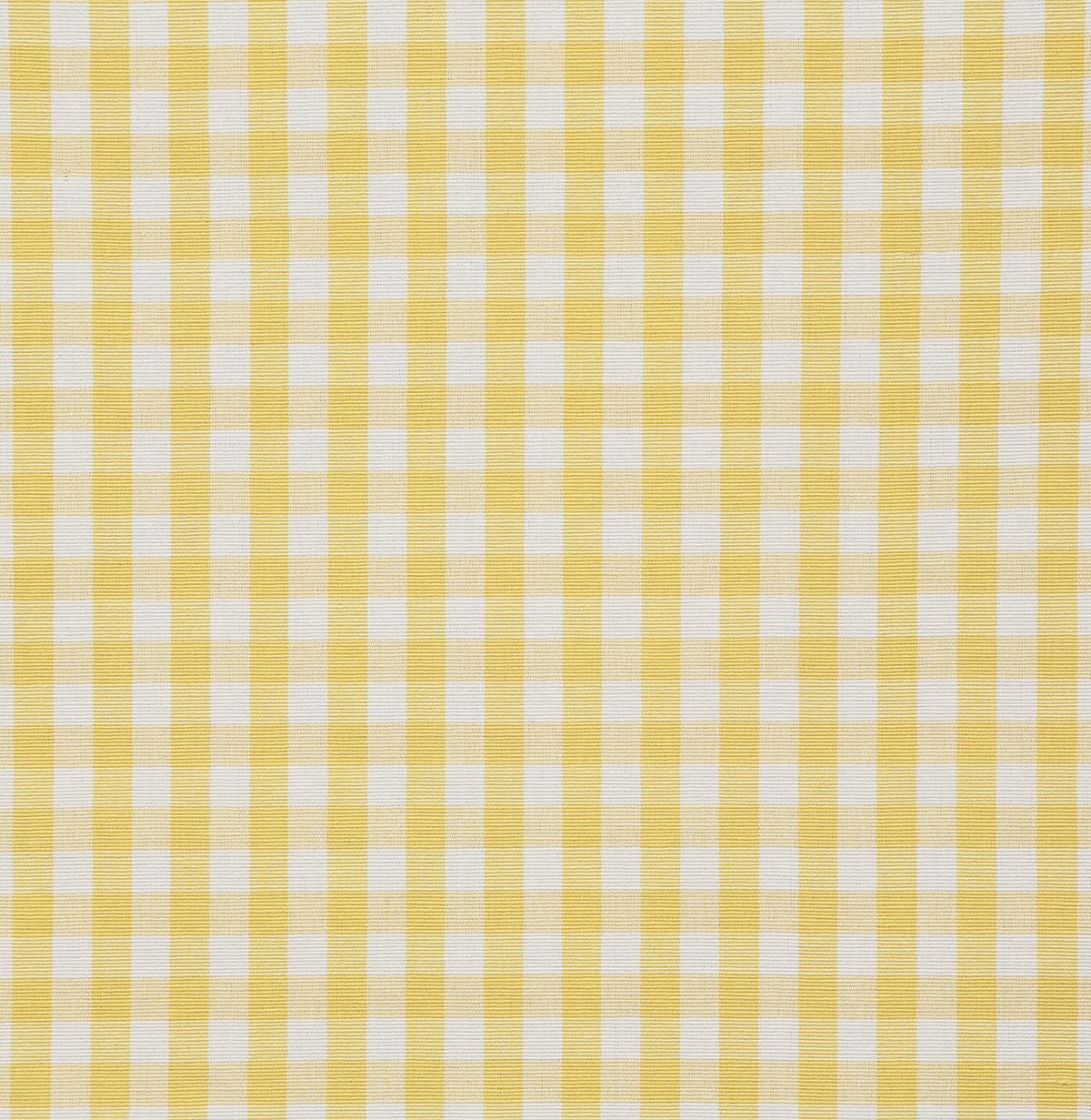 7216-chandler-daffodil-pindler