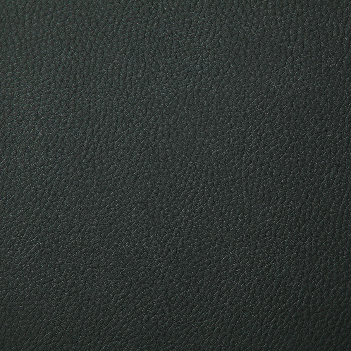 7224-sullivan-carbon-pindler
