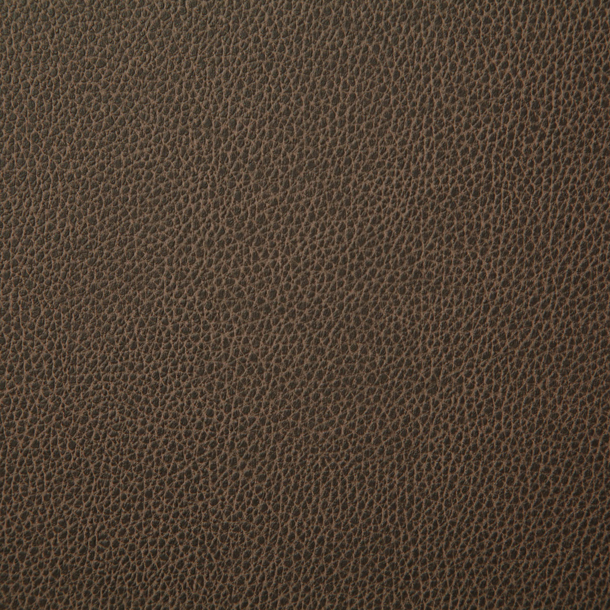 7225-sanders-latte-pindler - Pindler Fabric
