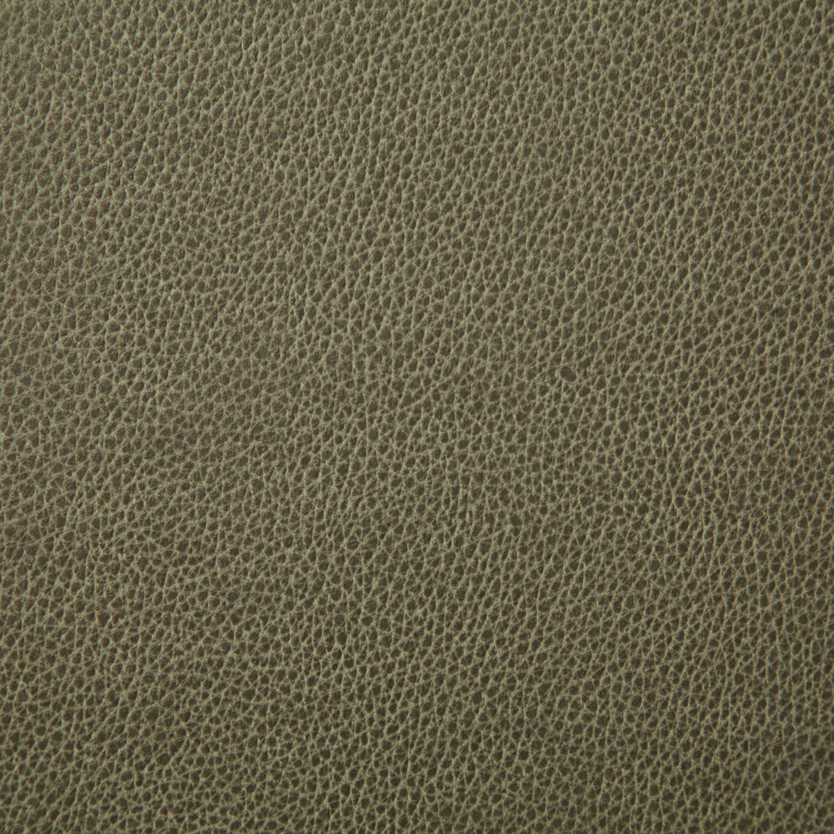 7225-sanders-leaf-pindler - Pindler Fabric